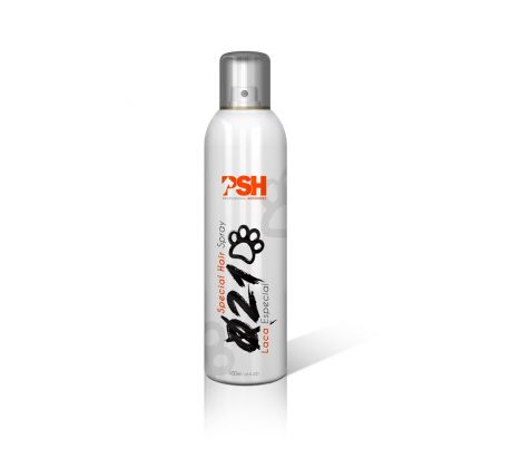 PSH Special Hair Spray 021 300ml