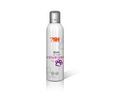 PSH Body and Hair Volumizer 300ml