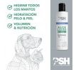 PSH HOME ALOE LOVER Shampoo 300 ml