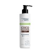 PSH HOME COCO GLOSS Conditioner 300 ml - Hard Coat