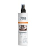 PSH HOME COCO GLOSS Mist 300 ml - Hard Coat