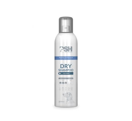 PSH Dry Shampoo 300ml